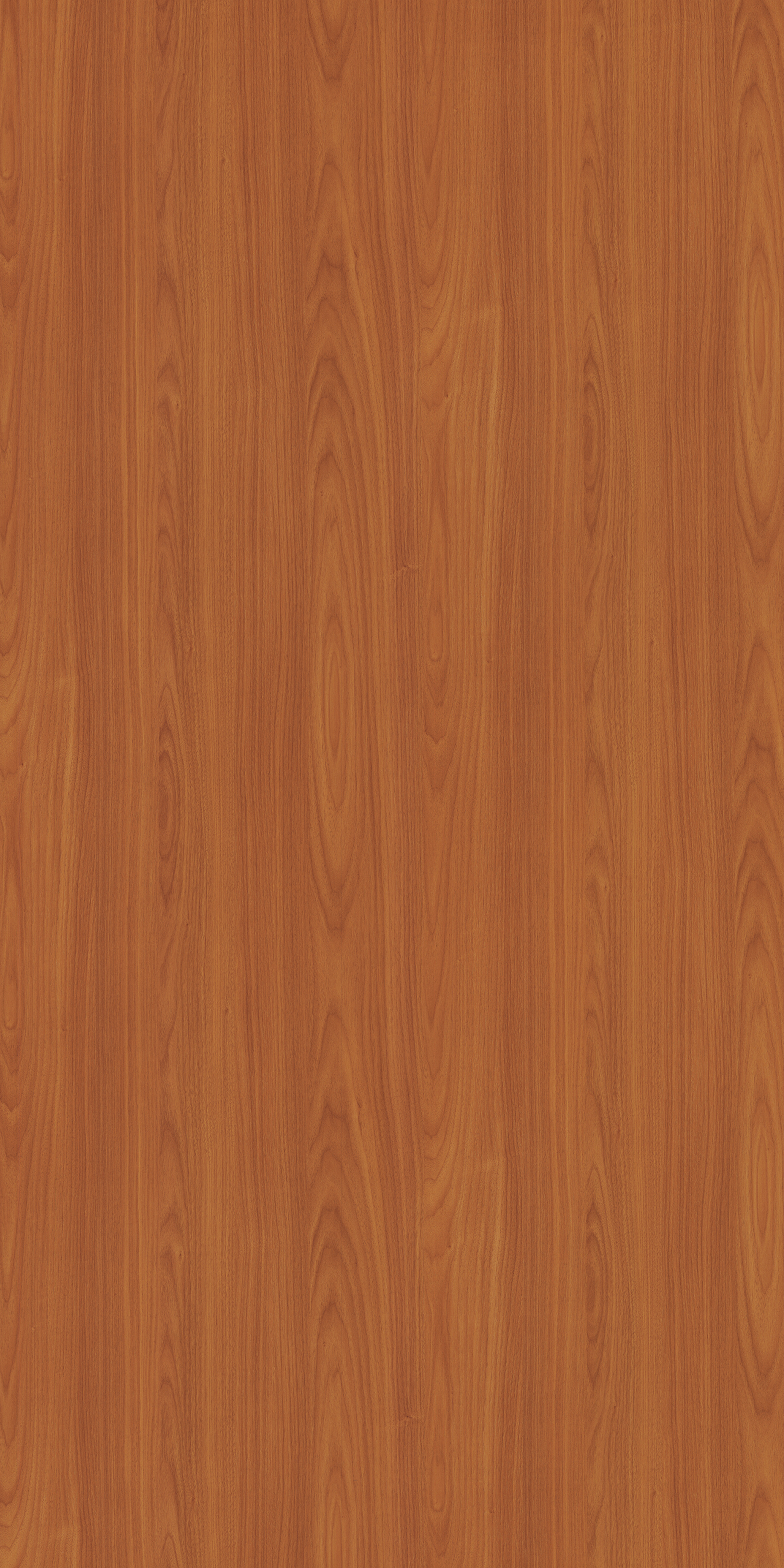 4603 – SQO, OKT